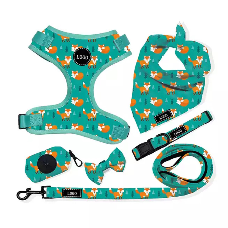 سایڈست سیفٹی No Pull Dog Harness and Leash Set